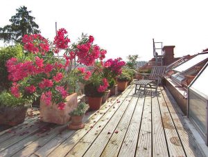 Dachterrasse aus Holz eines Dachgeschossausbaus in Wien (Paschinger Architekten)